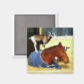 Magnet de cheval Aimant de chèvre amusant photo de (Recto/Verso)
