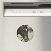 Magnet de cheval arabe mignon (In Situ (Lave-vaisselle))