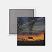 Magnet de Cheval du Sud-Ouest (Recto/Verso)