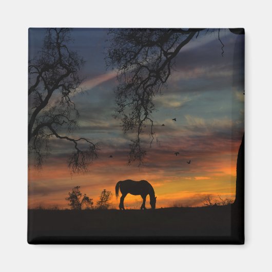 Magnet de Cheval du Sud-Ouest (Devant)