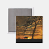 Magnet de cheval magnifique (Recto/Verso)