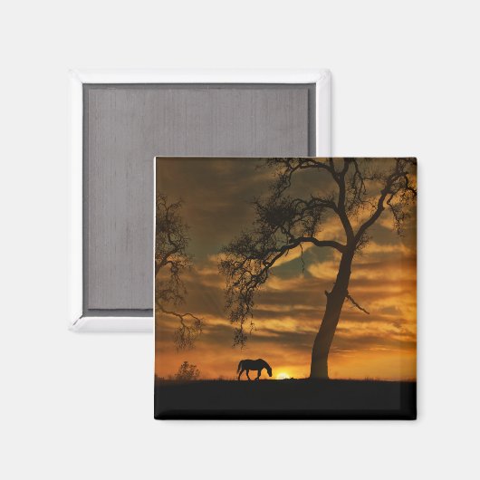 Magnet de cheval magnifique (Recto/Verso)