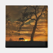 Magnet de cheval magnifique (Devant)