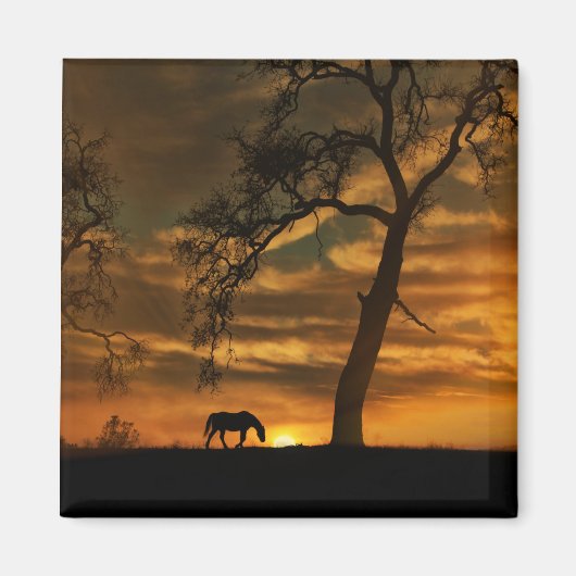 Magnet de cheval magnifique (Devant)