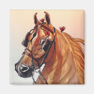 Magnet de cheval saddlebred