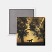 Magnet de chevaux libres Super Jolie Galloping (Recto/Verso)