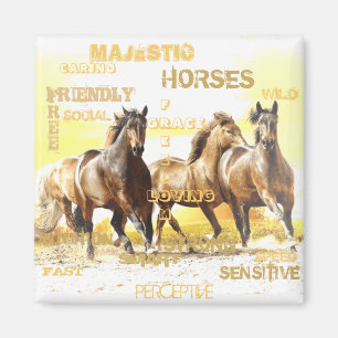Magnet de chevaux majestueux