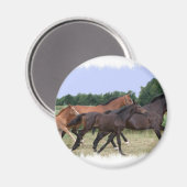 Magnet de Chevaux sauvages (Recto/Verso)