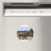 Magnet de Chevaux sauvages (In Situ (Lave-vaisselle))