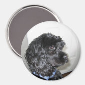 Magnet de chien adorable (Recto/Verso)