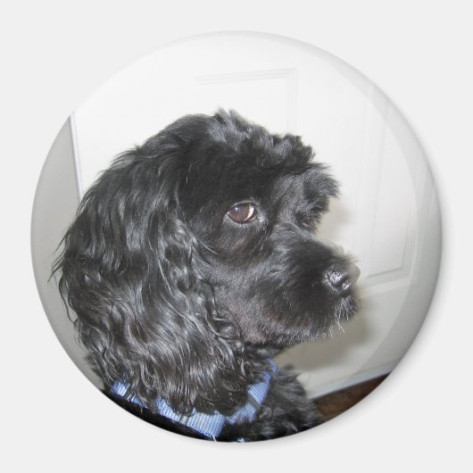 Magnet de chien adorable (Devant)