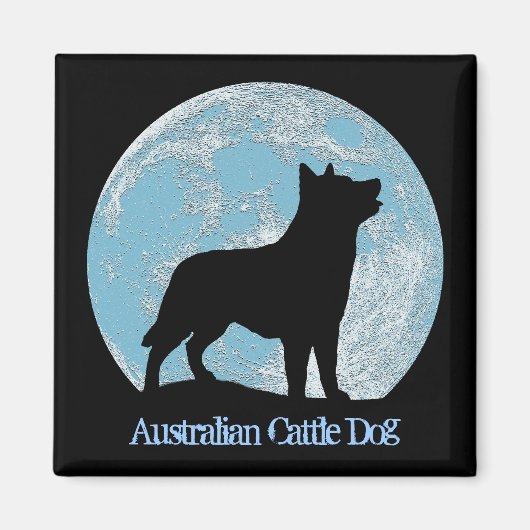 Magnet de chien de bétail australien (Devant)