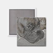 Magnet de chien de boîte (Recto/Verso)