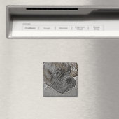 Magnet de chien de boîte (In Situ (Lave-vaisselle))