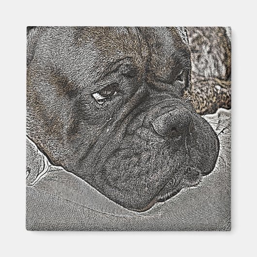 Magnet de chien de boîte (Devant)