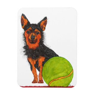 Magnet de chien de Chorkie mignet et adorable 3"x4