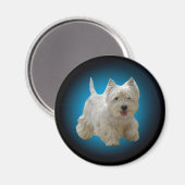 Magnet de chien maltais blanc mignon (Recto/Verso)