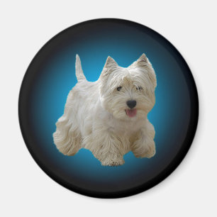 Magnet de chien maltais blanc mignon