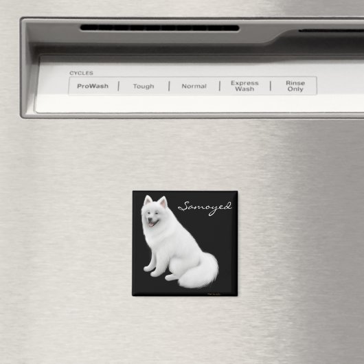 Magnet de chien Samoyé (In Situ (Lave-vaisselle))