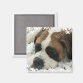 Magnet de chien St Bernard (Recto/Verso)