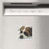 Magnet de chien St Bernard (In Situ (Lave-vaisselle))