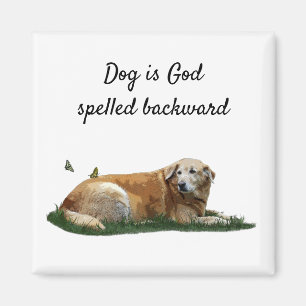 Magnet de chiens de races mixtes du Labrador jaune