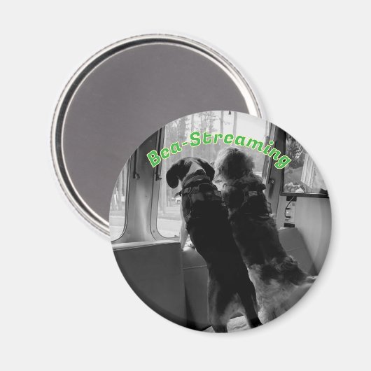 Magnet de chiens en streaming (Recto/Verso)