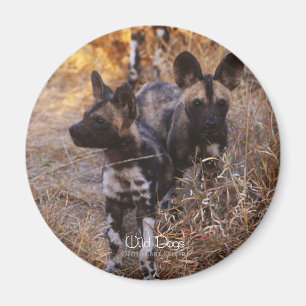 Magnet de chiens sauvages
