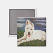 Magnet de chiot allemand blanc (Recto/Verso)