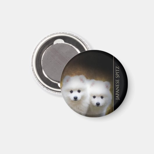 Magnet de chiots spitz japonais (Recto/Verso)