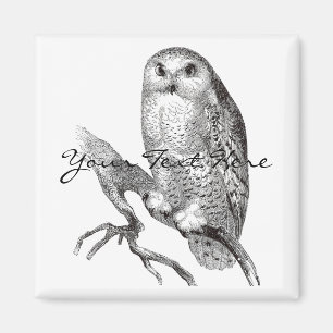Magnet de Chouette neige vintage