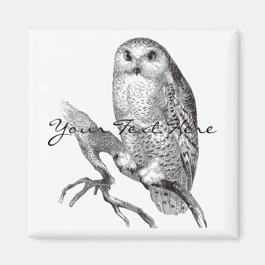 Magnet de Chouette neige vintage (Devant)