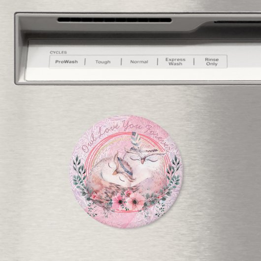 Magnet de chouettes (In Situ (Lave-vaisselle))