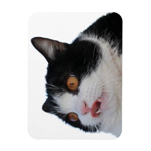 Magnet de clé (Vertical)