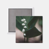 Magnet de cloches sucrées (Recto/Verso)