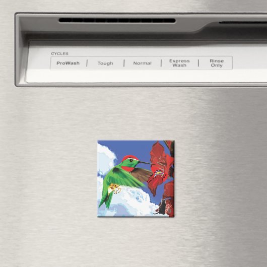 Magnet de colibris (In Situ (Lave-vaisselle))