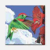 Magnet de colibris (Devant)