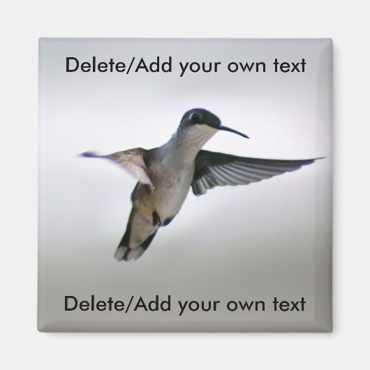 Magnet de colibris (Devant)