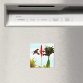 Magnet de colibris (In Situ (Lave-vaisselle))