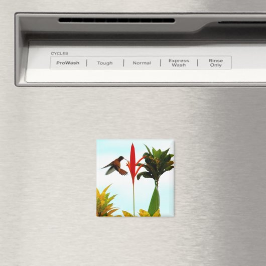 Magnet de colibris (In Situ (Lave-vaisselle))