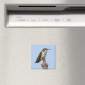 Magnet de colibris (In Situ (Lave-vaisselle))