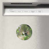Magnet de colibris (In Situ (Lave-vaisselle))