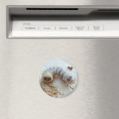 Magnet de commande à tête ronde (In Situ (Lave-vaisselle))