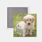 Magnet de conservation avec photo (Recto/Verso)