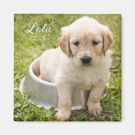 Magnet de conservation avec photo (Devant)