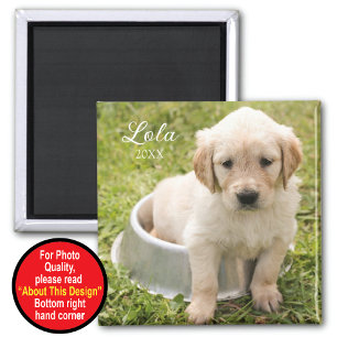 Magnet de conservation avec photo