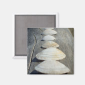 Magnet de coques de clam (Recto/Verso)