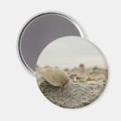 Magnet de coquillages (Recto/Verso)