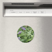 Magnet de Cornflowers (In Situ (Lave-vaisselle))