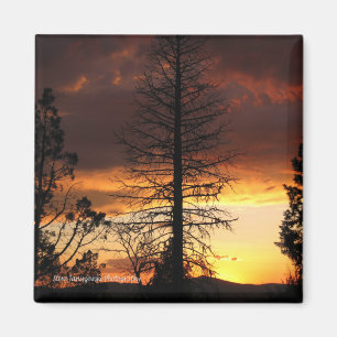 Magnet de coucher de soleil incroyablement beau